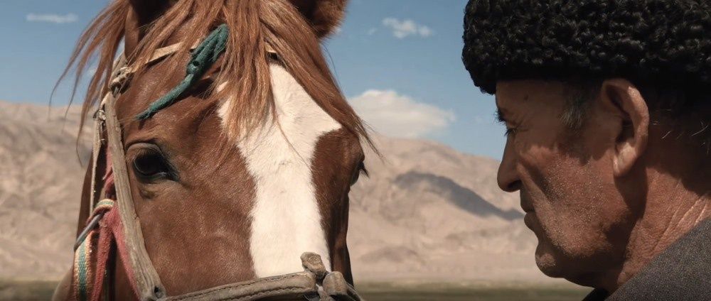 Horses In Blood