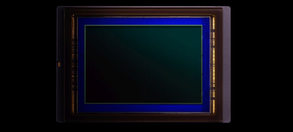 Nikon D6 sensor