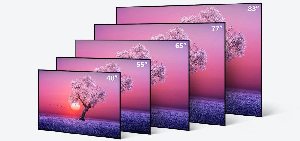 LG OLED wymiary