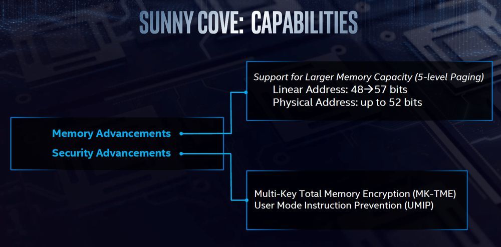 Intel Skylake vs Sunny Cove