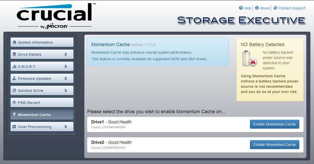 Crucial Storage Executive - Momentum Cache