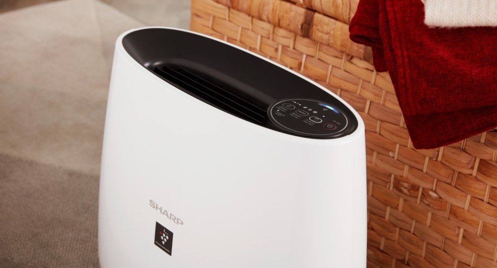 Sharp FP-J30EU-B