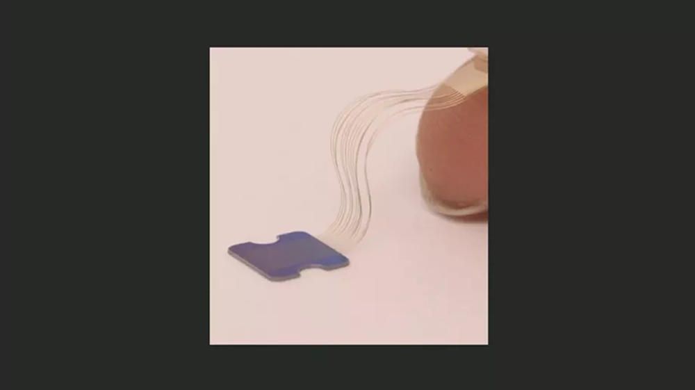 Neuralink nici