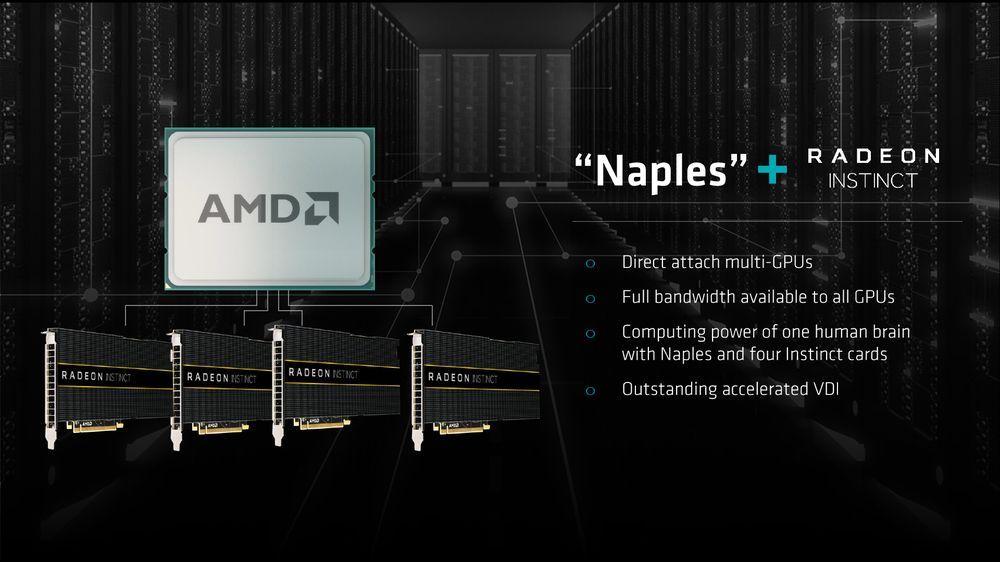 AMD Naples - platforma