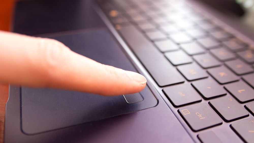 Czytnik linii papilarnych