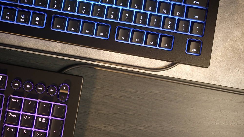 Razer Cynosa V2 wygląd