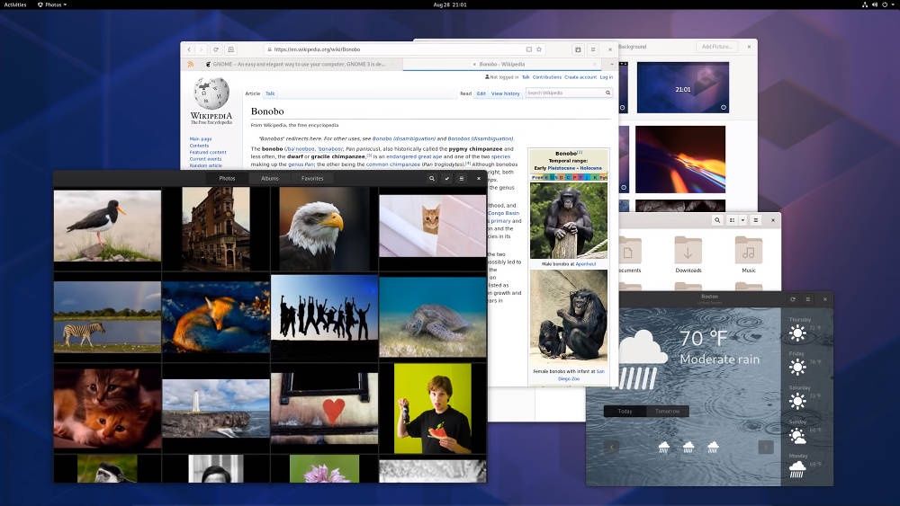 GNOME 3.34 pulpit