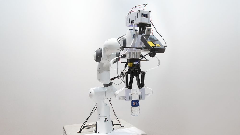 Robot NUS