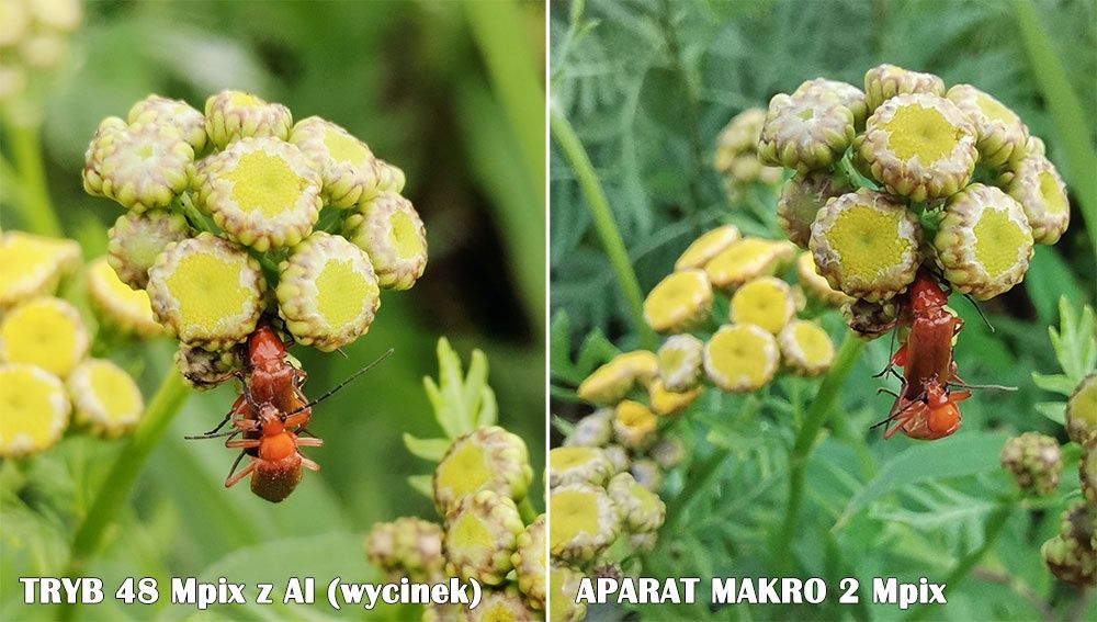 Honor 20 tryb 48 mpix i aparat makro