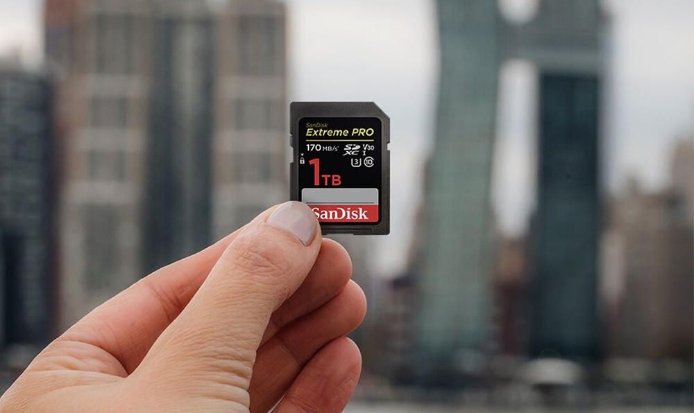 SanDisk SD 2019
