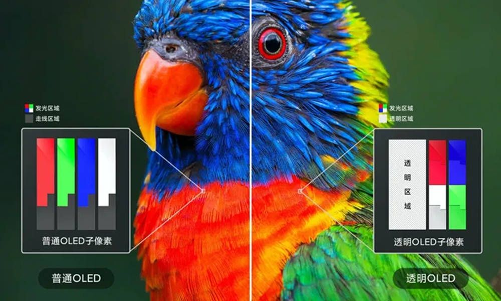 Xiaomi Mi TV Lux OLED WRGB