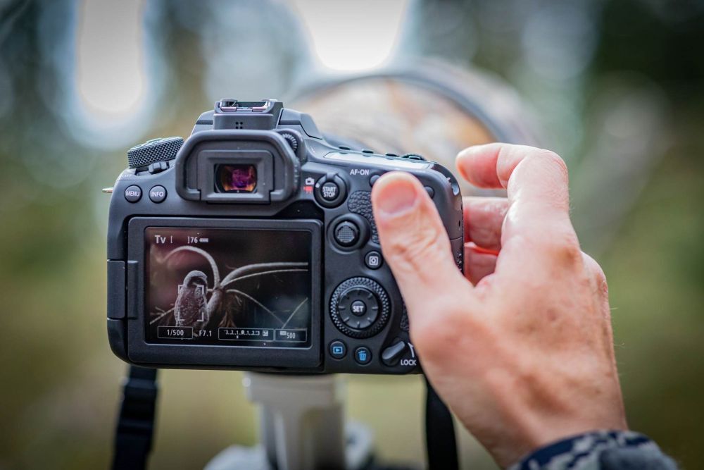 Fotografowanie Canon EOS 90D