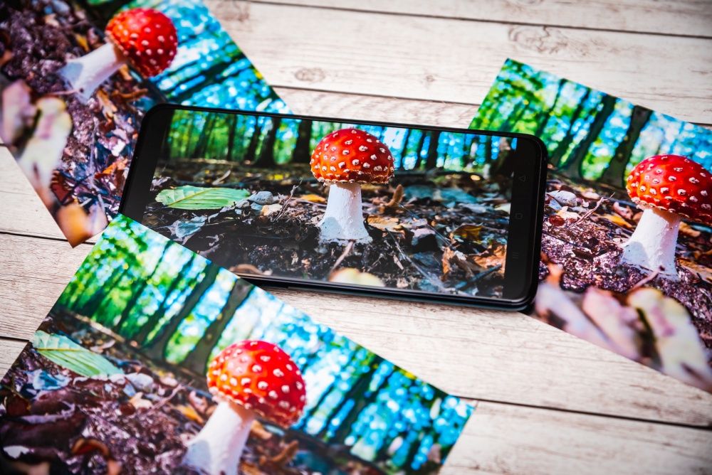 Oppo Reno 2 odbitki jedno zdjęcie