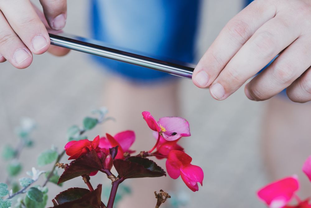 Samsung Galaxy Note 10+ fotografowanie z bliska