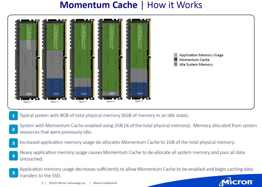 Crucial Momentum Cache