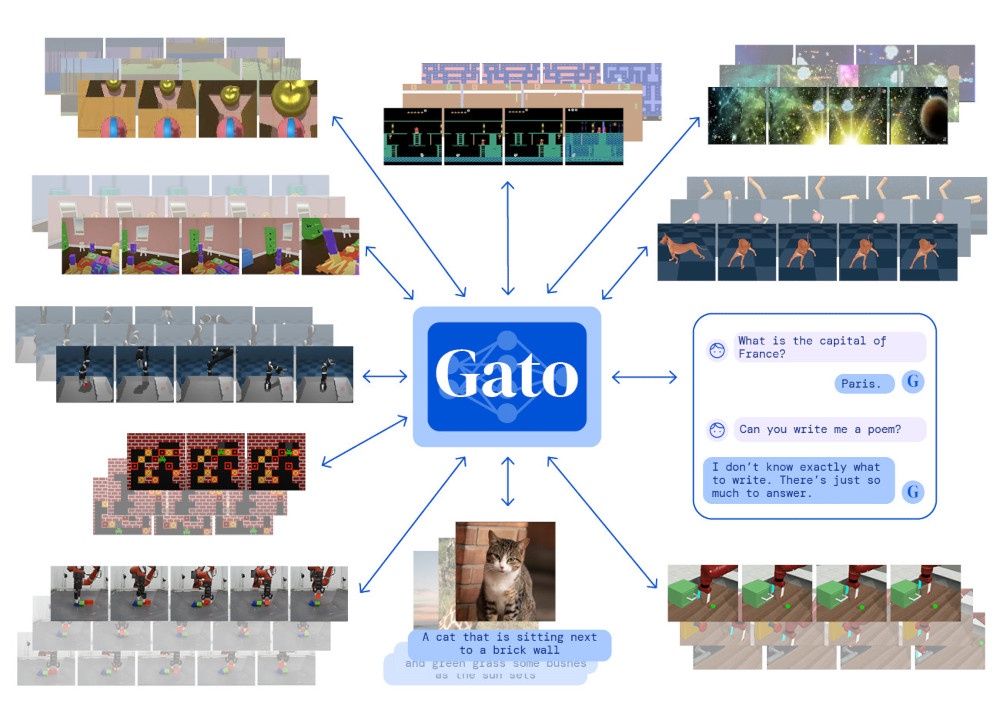 Gato AI