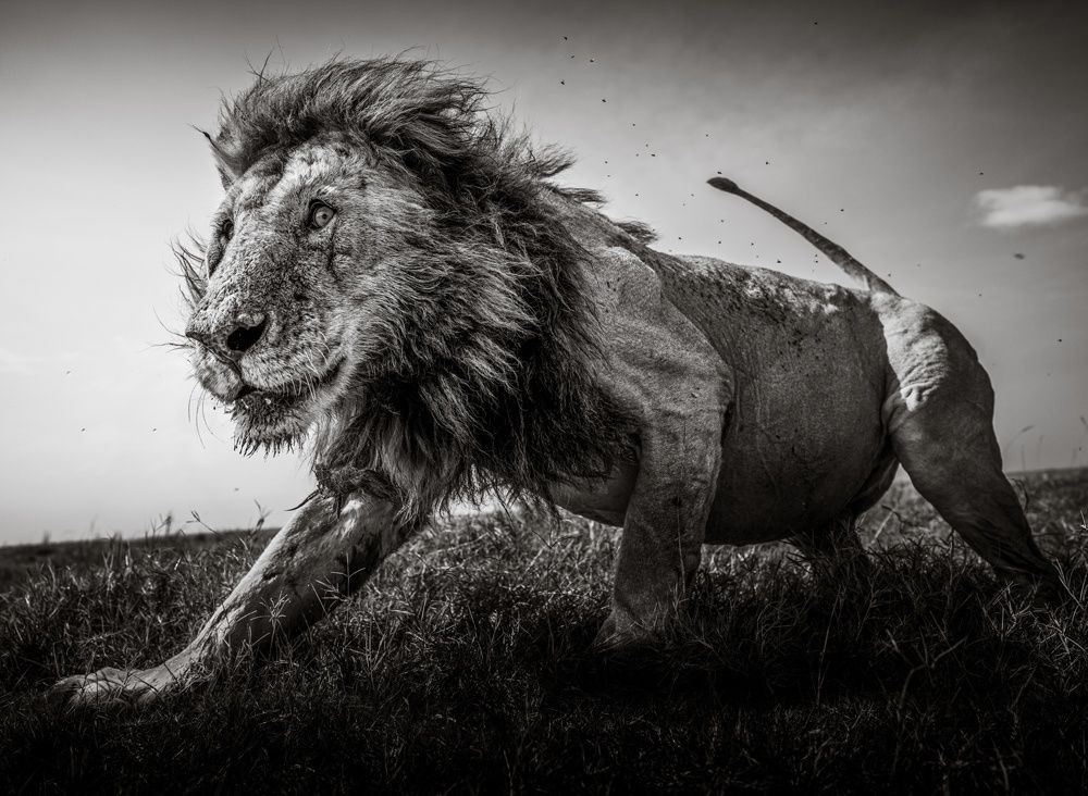 Fot: Graeme Purdy