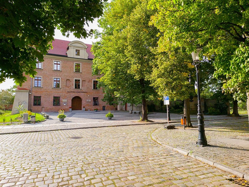 aparat tylny, podstawowy, zdjęcie RAW wywołane do formatu JPG