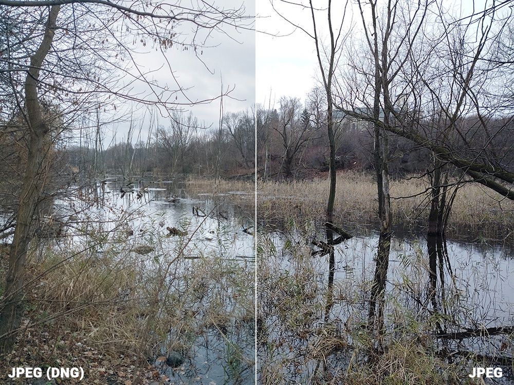 Motorola One Zoom porównanie RAW JPEG 1