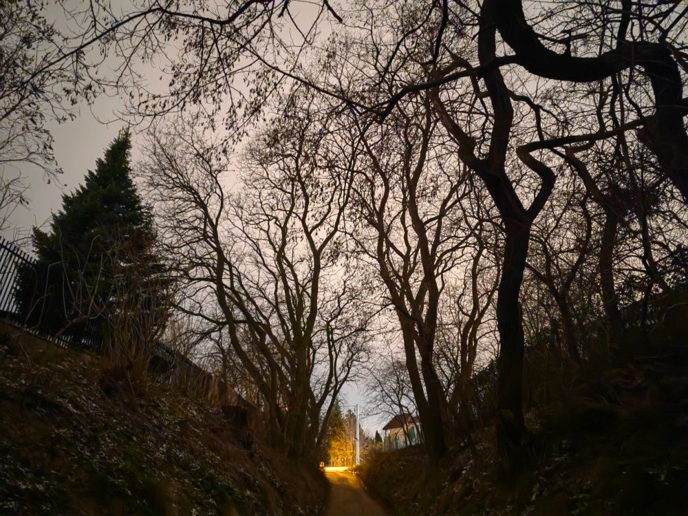Zdjęcie nocne w trybie nocnym