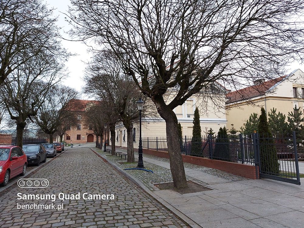 aparat tylny, podstawowy