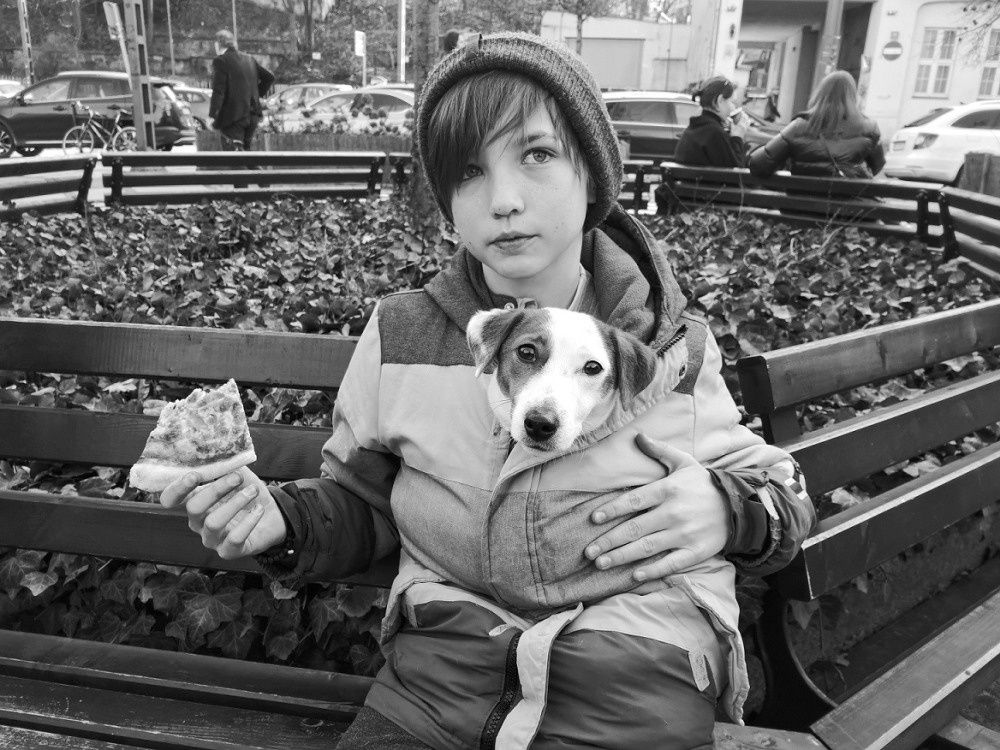 Boy Dog Pizza