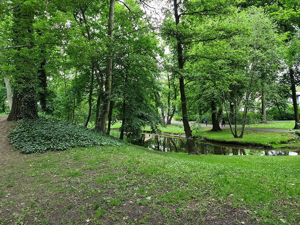 Samsung Galaxy S20 Ultra - aparat tylny, główny
