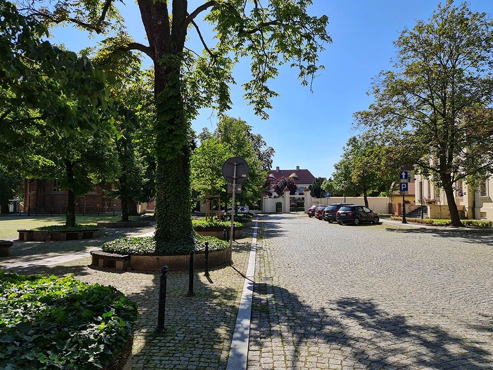 aparat podstawowy (powiększenie 1x)
