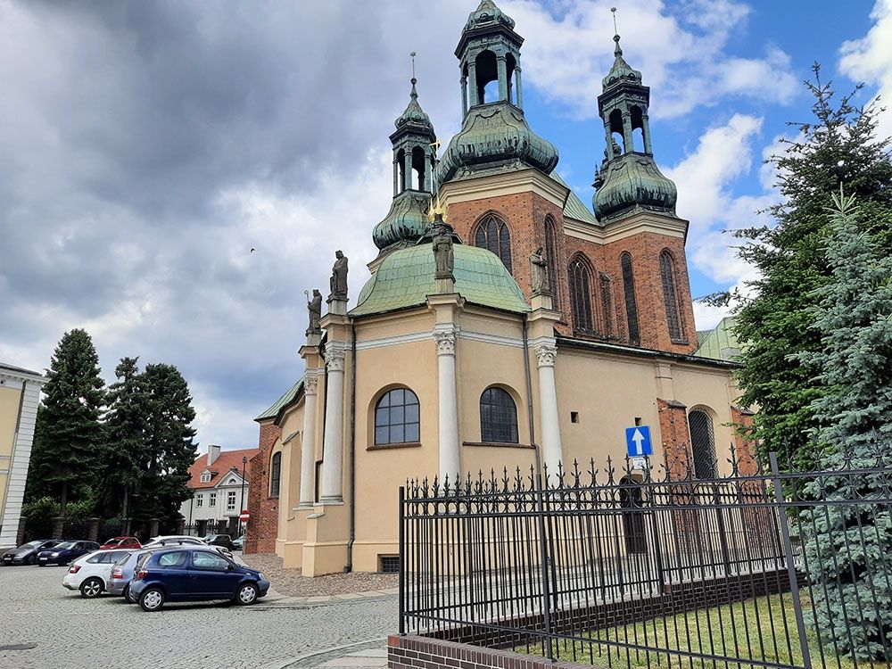 aparat tylny, podstawowy