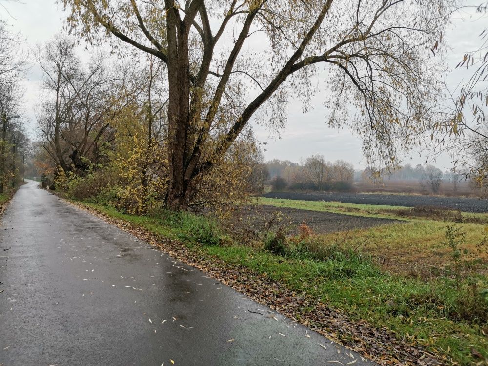 Honor 20 Pro przykładowe zdjęcie