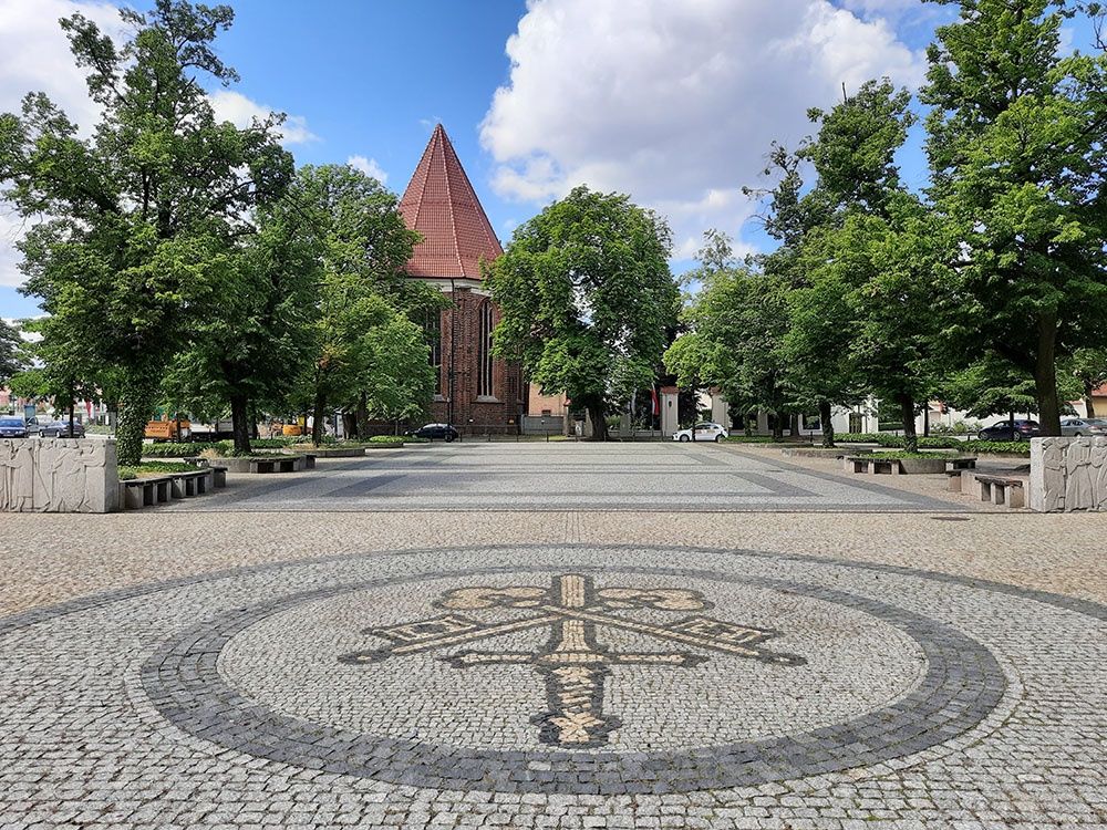 aparat tylny, podstawowy