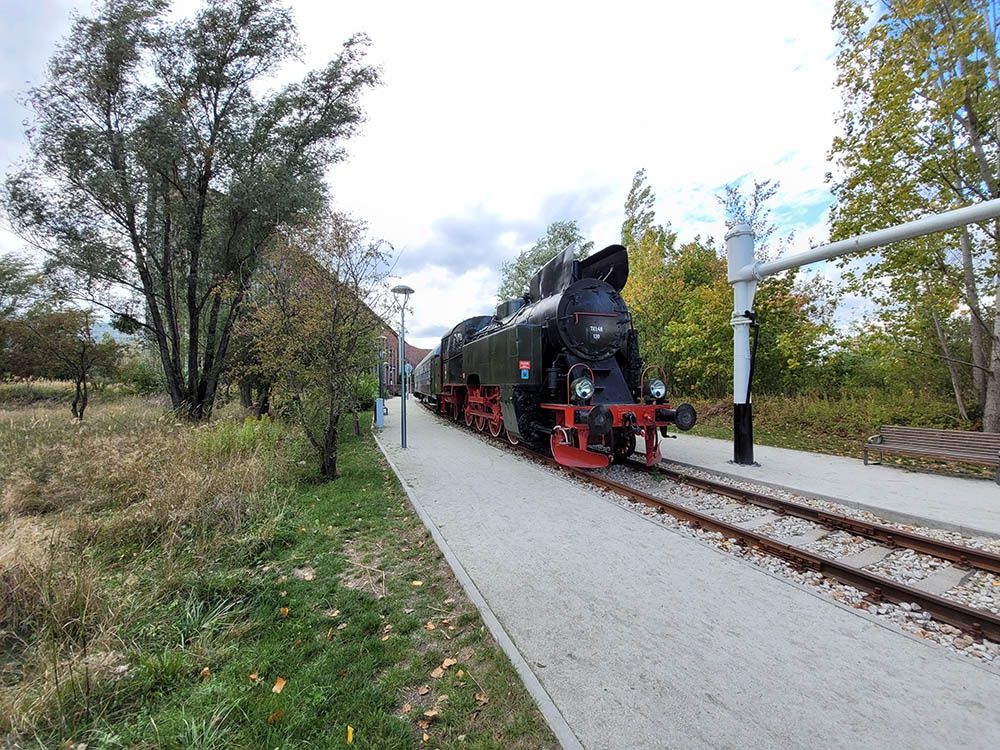 aparat tylny, ultraszerokokątny