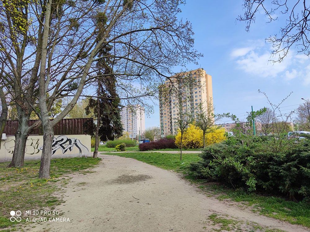 Zdjęcie z aparatu tylnego, podstawowego (1x)