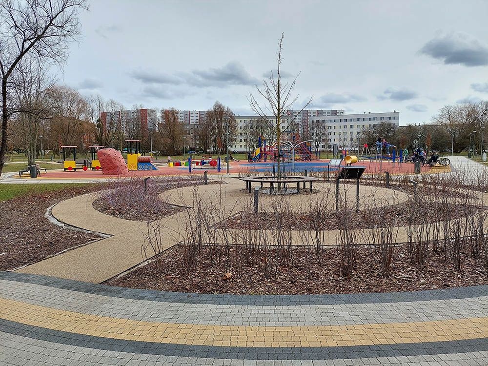 aparat tylny, główny