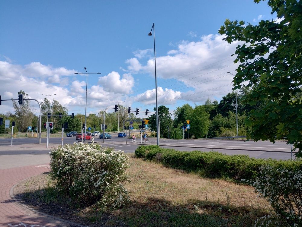 moto g52 przykładowe zdjęcie