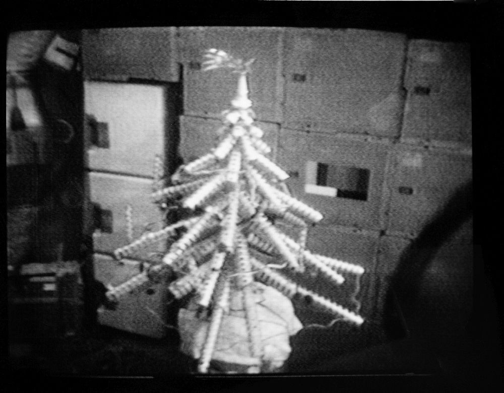 Choinka misja Skylab