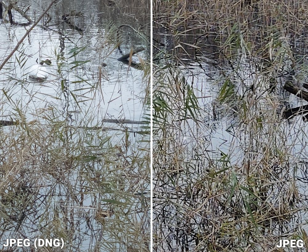 Motorola One Zoom porównanie RAW JPEG 2