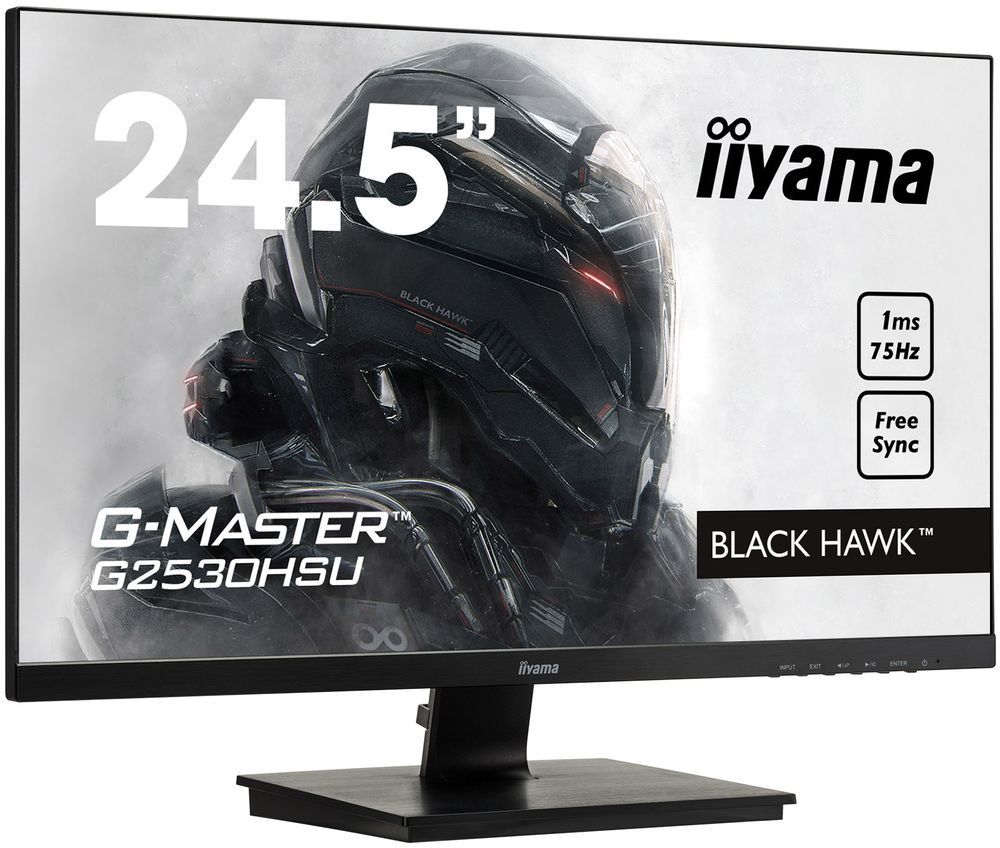 iiyama G-Master G2530HSU-B1
