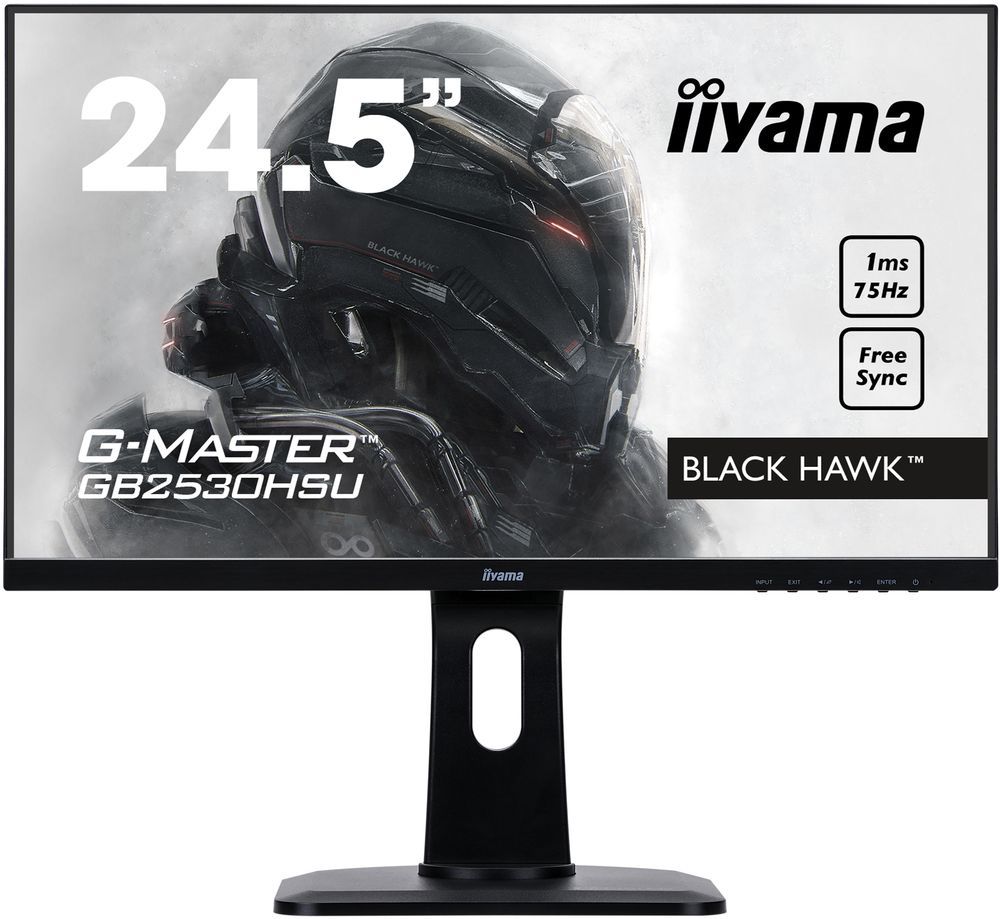 iiyama G-Master GB2530HSU-B1