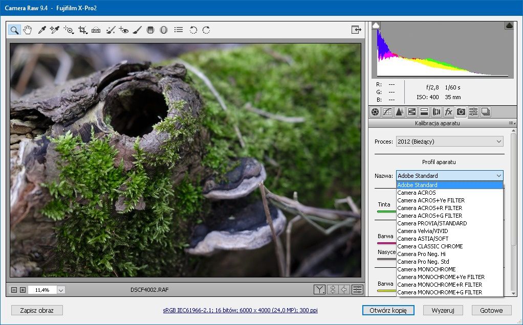 Adobe Camera RAW 9.4