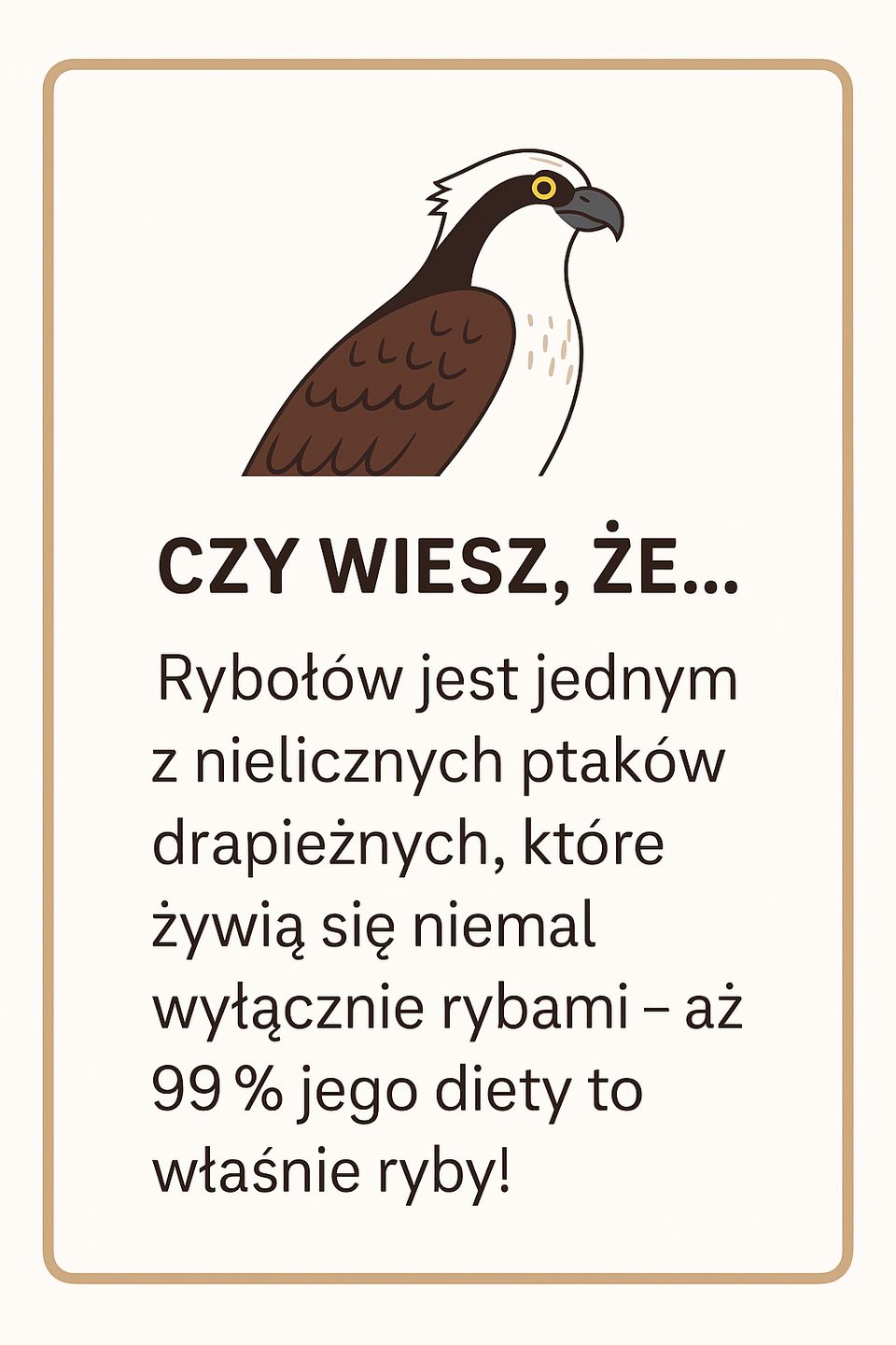 infografika, rybołowy