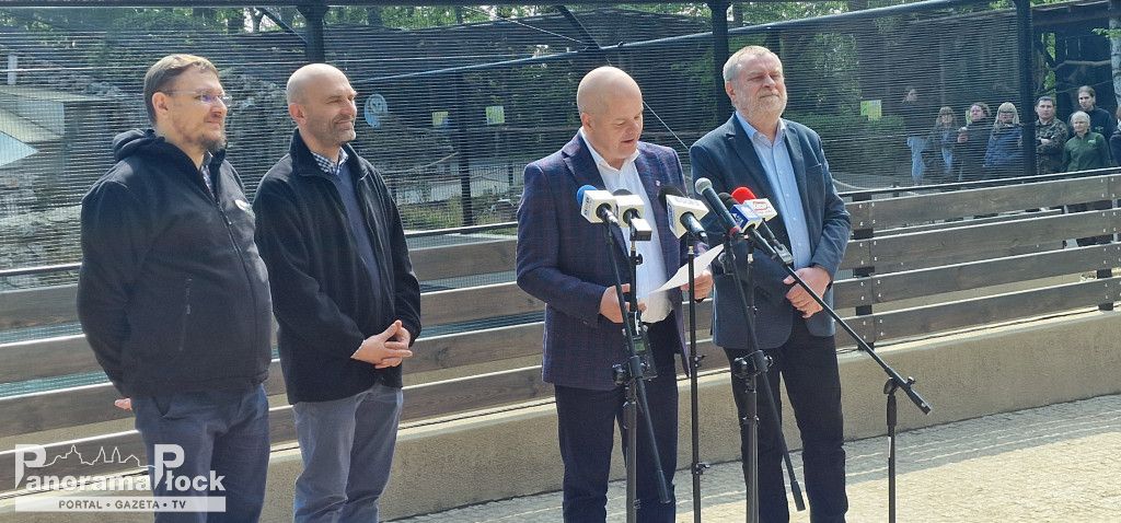 ZOO PŁOCK: Pingwiny Peruwiańskie w nowym wybiegu [FOTO]