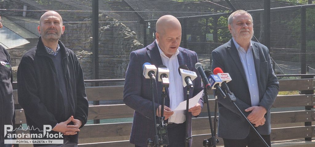 ZOO PŁOCK: Pingwiny Peruwiańskie w nowym wybiegu [FOTO]