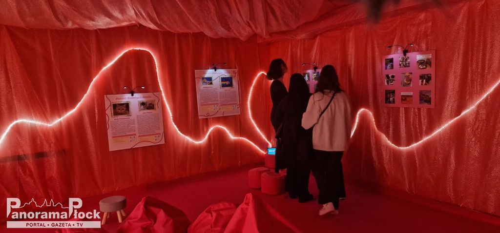 Otwarcie Muzeum Memów - wernisaż!