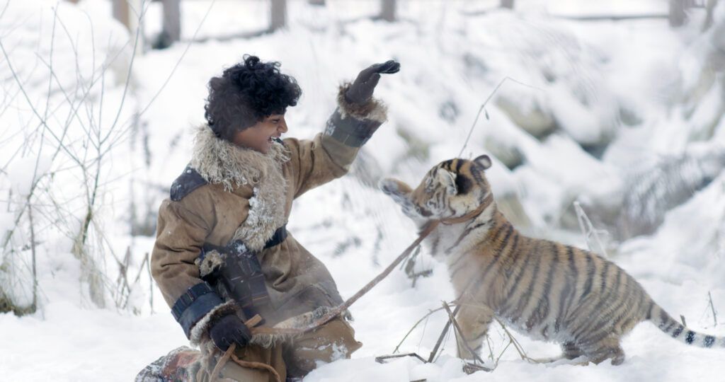 Pimi z krainy tygrysów