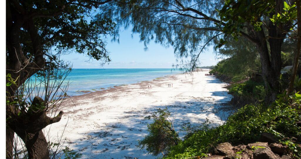 Mombasa Diani Beach
