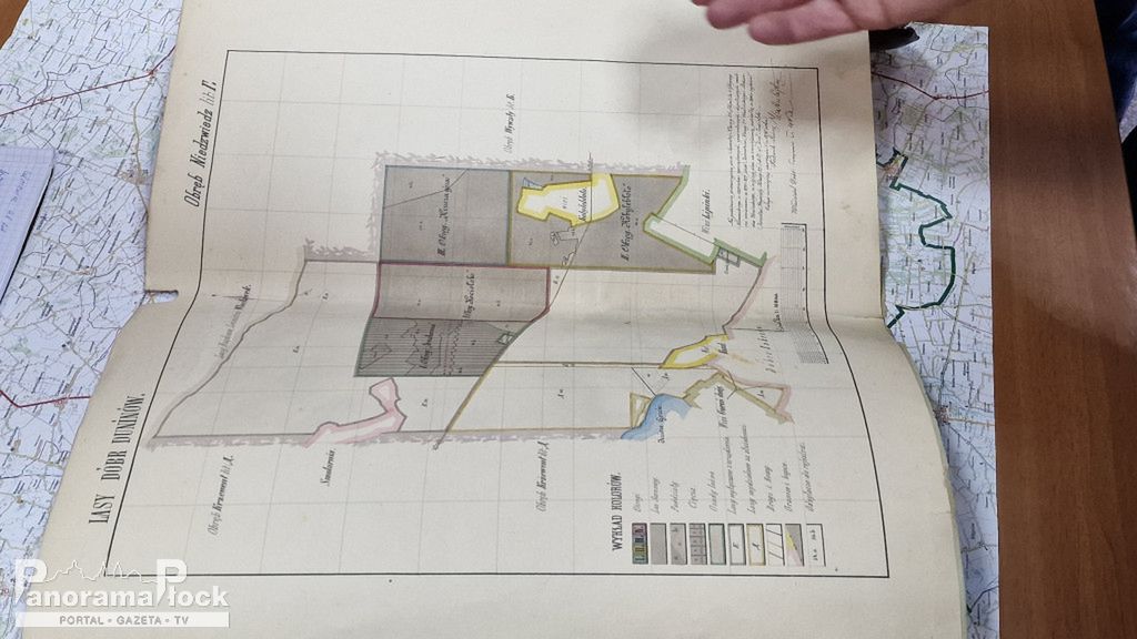 Okrągły Stół Leśny w Płocku