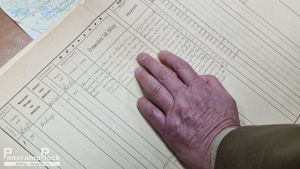 Okrągły Stół Leśny w Płocku