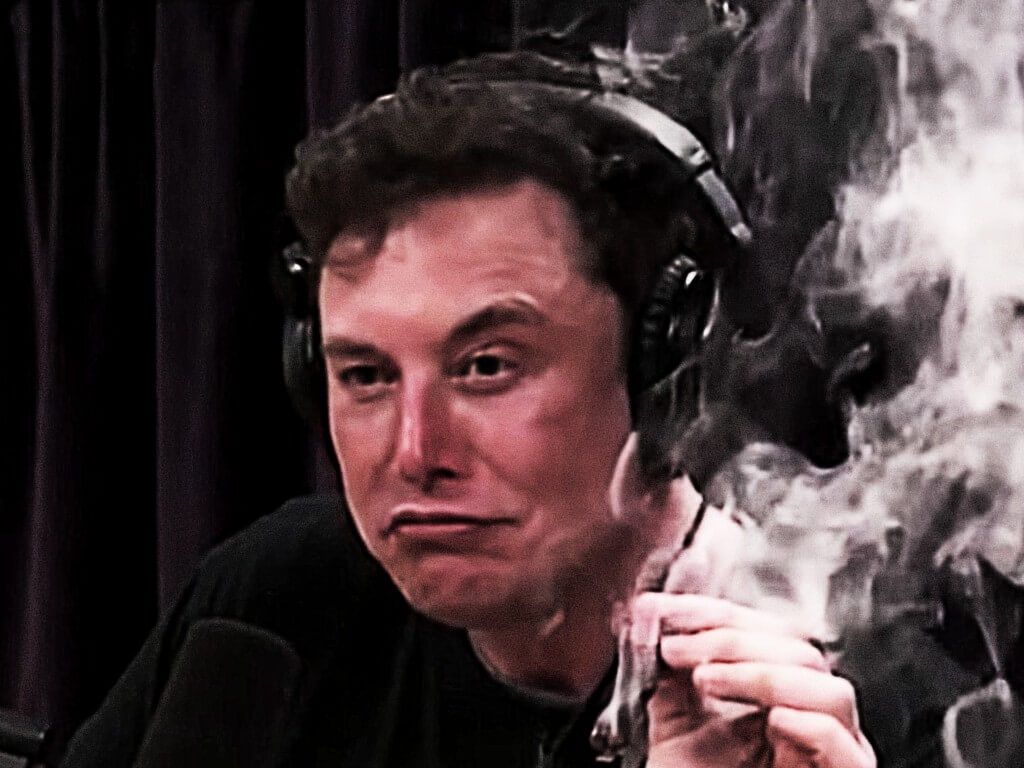 Elon Musk chmura