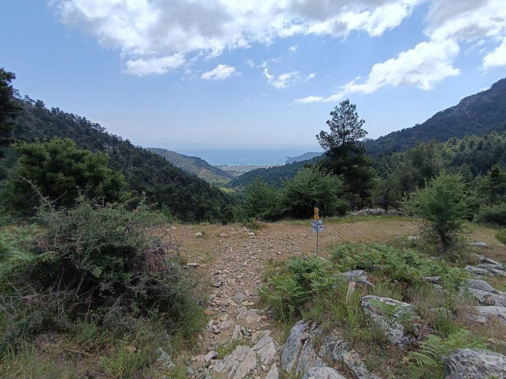 Thassos Ipsarion